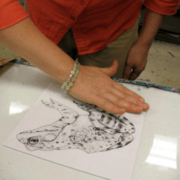 A woman drawing a frog on a piece of paper.