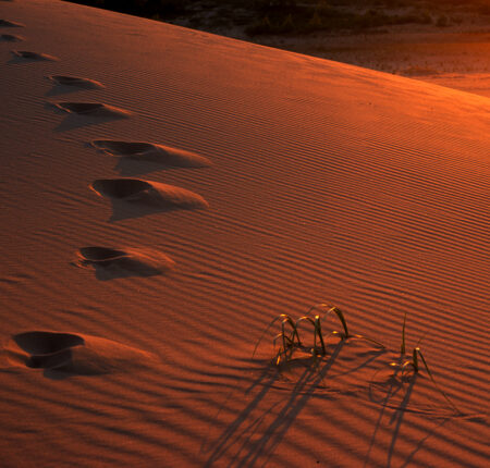 A sand dune with footprints in the sand.