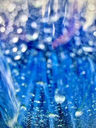 A close up of water droplets in a blue vase.