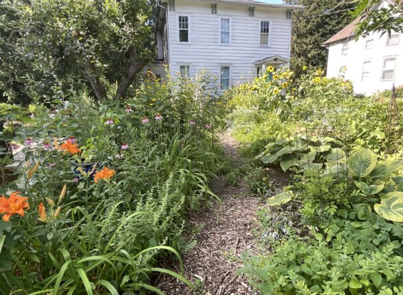 A garden with a path leading to a house.