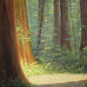 A painting of a path through a redwood forest.