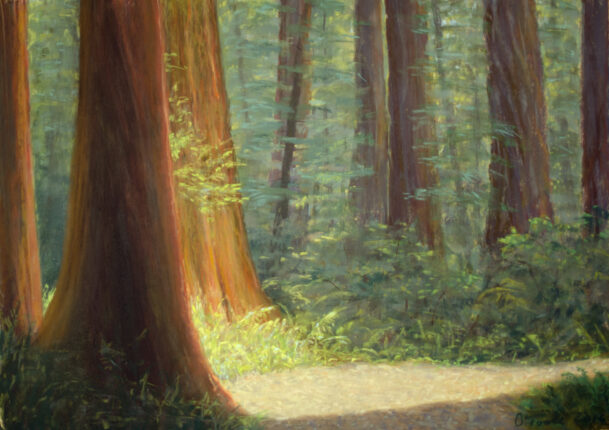 A painting of a path through a redwood forest.