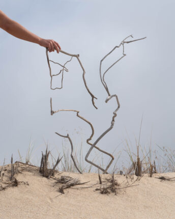 A hand holding branches in the sand