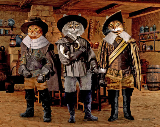 Three cats dressed up in costumes.